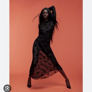 The schiffer in Devore daisy new w/ do not remove tag realisation par XS